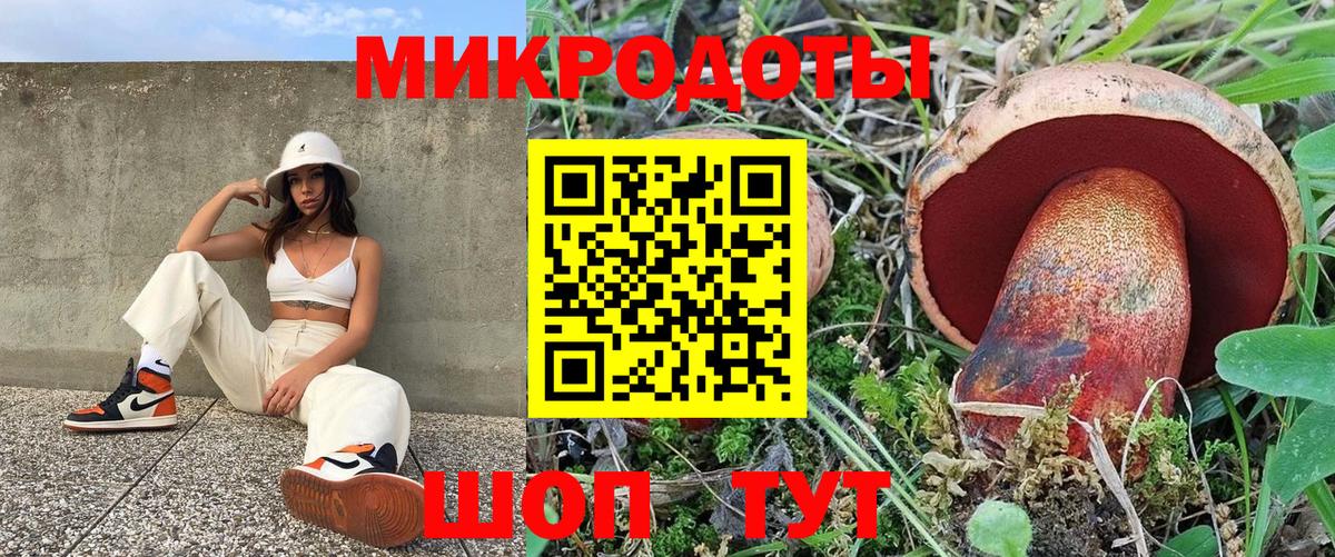 хочу   Псилоцибиновые грибы GOLDEN TEACHER  Вход с VPN  Озёры  Псилоцибиновые грибы Psilocybe 